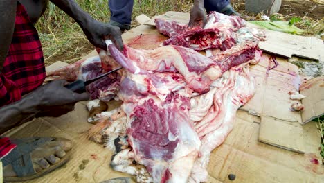 Masai-community-people-slaughtering-goat,-Indigenous-people-slaughtering-goat