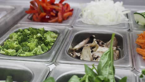 Pan-shot-of-fresh-vegetables-on-steel-trays-on-a-healthy-food-on-the-go