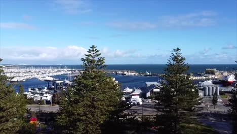 Aerial-View-with-360-degree-rotation-Fremantle,-Western-Australia-Flying-over-Pine-Trees-with-view-of-Fremantle-Fishing-Boat-Harbour