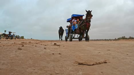 Horse-drawn-carriage-traveling-on-desert-road-for-tour-tourism-in-Tunisia