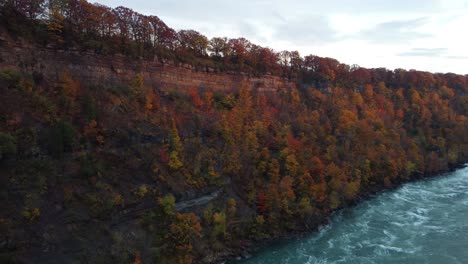 Aerial-View-Of-Lush-Autumnal-Foliage-From-Niagara-Glen-Nature-Center