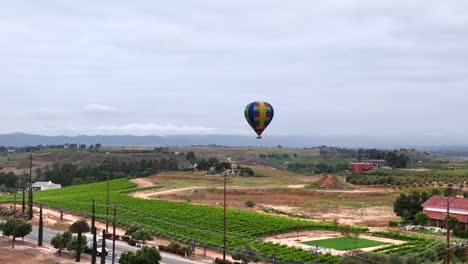 Hot-air-balloon-in-Temecula-on-early-morning-overcast-day,-aerial-capture-over-wine-vineyard