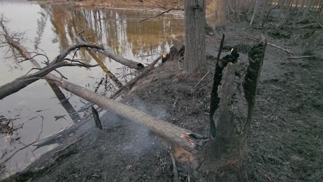 Fallen-Burnt-Tree-Smouldering-Beside-Lake-In-Aftermath-Of-Kirkland-Lake-KLK005-Forest-Fire