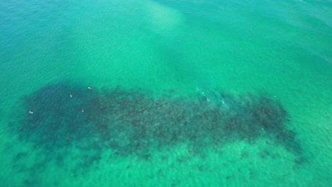 Scenic-Seascape-Of-Palm-Beach-In-Gold-Coast,-Queensland,-Australia---aerial-drone-shot