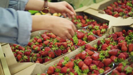 Young-woman-shopping.-Close-up-of-hands-taking-small-plastic-box-of-fresh-strawberries-in-store.-Fresh-fruits