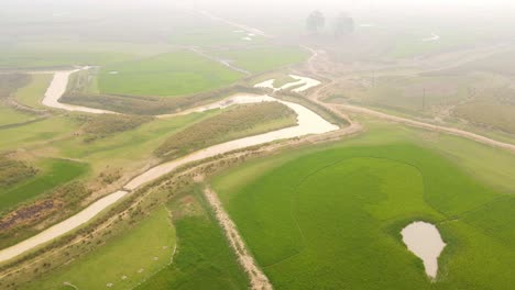 Grünes-Reisfeld,-Luftlandschaftsansicht-Mit-Kleinem-Fluss-In-Bangladesch