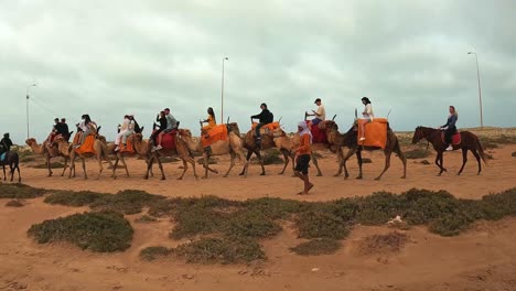 Caballos-Y-Camellos-Dromedarios-En-Línea-Con-Turistas-A-Caballo-En-Túnez