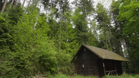 Zooming-shot-of-cabin-in-woods-in-Black-Forest,Germany
