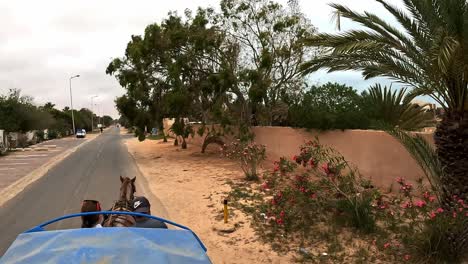 High-angle-perspective-of-horse-drawn-carriage-with-coach-and-tourist-girl-on-Djerba-street-in-Tunisia