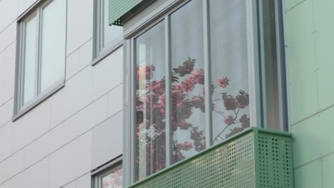 Low-Angle-Aufnahme-Von-Sakura-Blumen,-Die-Sich-Im-Glasfensterbalkon-Eines-Modernen-Gebäudes-Spiegeln