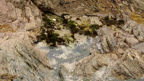 Angled-Shot-of-rock-pool-with-Seaweed-