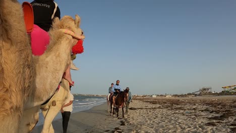 Unusual-point-of-view-of-tourists-riding-dromedary-camel-on-sandy-beach
