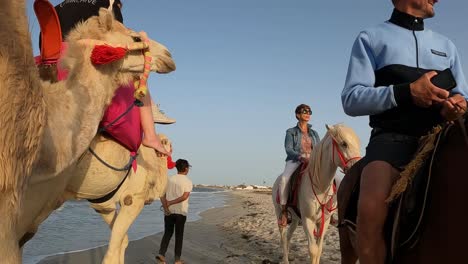 Unusual-side-perspective-of-tourists-riding-dromedary-camel-on-sea-shore-and-sandy-beach