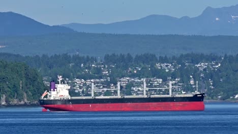 Maritime-Marvel:-Container-Ships-at-Duke-Point-B,-Nanaimo