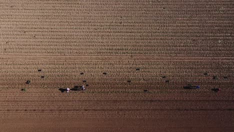 Aerial-top-down-shot-of-farmer-working-on-agricultural-field-during-hot-summer-day