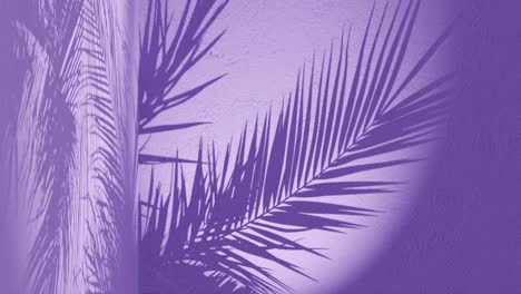 Eine-Palme-Hinterlässt-Schatten-Auf-Einer-Violetten-Hintergrundwand-Mit-Kopierraum