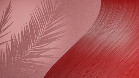 Schatten-Von-Palmblättern-Auf-Roter-Hintergrundwand-Mit-Kopierraum