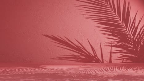 Eine-Palme-Hinterlässt-Schatten-Auf-Einer-Roten-Hintergrundwand-Mit-Kopierraum