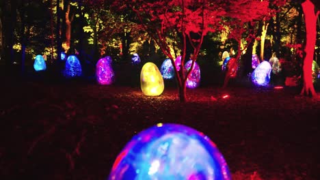 Interaktive-Veranstaltung-Im-Beleuchteten-Wald-Im-Botanischen-Garten-Von-Osaka
