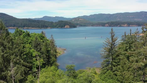 Bewaldete-Bucht:-Luftaufnahme-Der-Malerischen-Landschaft-Des-Campbell-River,-Vancouver-Island
