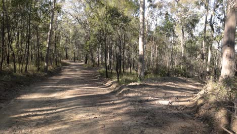 Handheld-footage-of-fire-break-trails-in-Nerang-National-Park,-Gold-Coast,-Queensland,-Australia