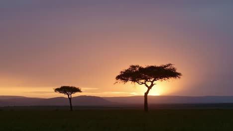 Wunderschöne-Landschaft-Der-Afrikanischen-Savanne-Mit-Dramatischem-Orangefarbenem-Sonnenuntergangshimmel-Und-Wolken-Und-Akazienbäumen-In-Masai-Mara-In-Kenia,-Erstaunlicher-Stimmungsvoller-Afrikanischer-Sonnenaufgang-In-Masai-Mara,-Hintergrund-Mit-Kopierraum