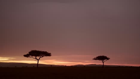 Hermoso-Paisaje-De-Amanecer-De-Sabana-Africana-Y-árboles-De-Acacia-En-Masai-Mara-En-Kenia,-Cielo-De-Puesta-De-Sol-Africano-Dramático-De-Color-Naranja-Oscuro-En-La-Noche-En-Maasai-Mara,-Fondo-Con-Espacio-De-Copia