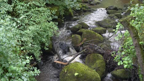 Water-flows-down-over-rocks-in-a-narrow-river-with-foliage-either-side