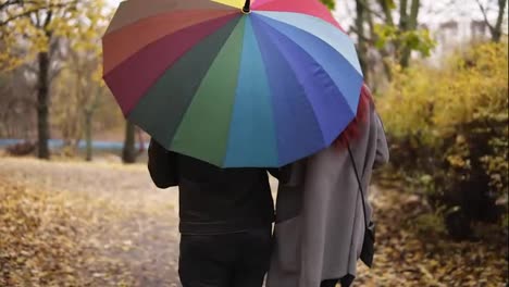Back-view-of-a-young-couple-walking-together-in-autumn-park-holding-a-colorful-umbrella-and-twisting-it