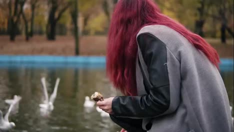 Back-view-of-red-haired-woman-in-warm-coat-feeding-the-gulls-by-the-pond-in-park-in-autumn.-Slowmotion-shot