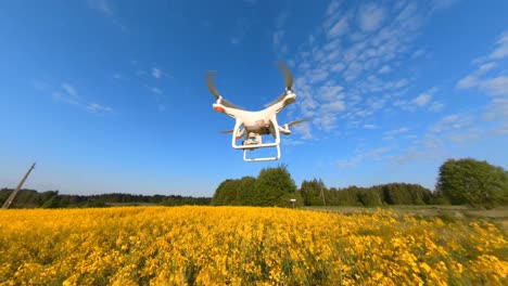 Dynamic-Camera-Movement-Around-A-Drone-Flying-Over-Yellowing-Canola-In-An-Agricultural-Field