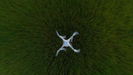 Slow-motion-shot-of-a-drone-over-green-agricultural-field