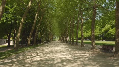 Camino-Bordeado-De-árboles-En-El-Parque-Público-De-Ocio-Del-Cincuentenario-En-Bruselas,-Bélgica