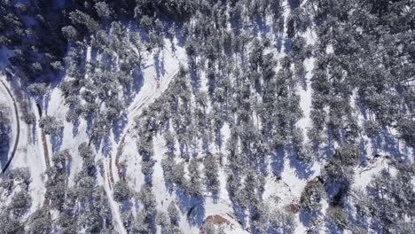 Caminos-Forestales-Y-De-Tierra-En-El-Cañón-De-Boulder,-Colorado---Imágenes-Aéreas-De-Drones---Durante-El-Día