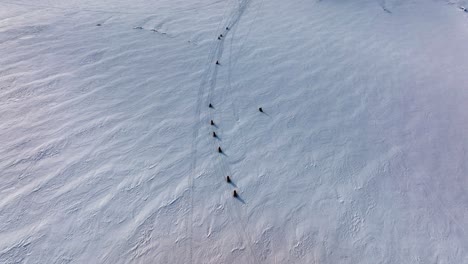 Luftaufnahme-Von-Menschen,-Die-Mit-Schneemobilen-Auf-Dem-Gefrorenen-Boden-Des-Myrdalsjökull-Gletschers-In-Island-Fahren