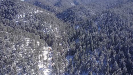 Boulder-Canyon-Forests-and-Mountains---Colorado---Aerial-Drone-Footage---Daytime