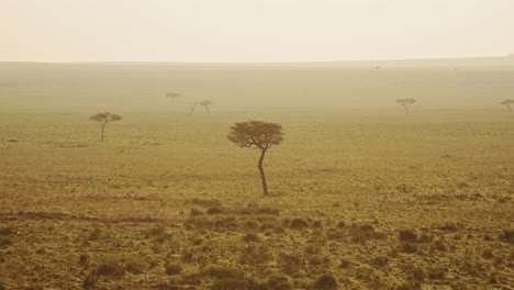 Africa-Aerial-Shot-of-Beautiful-Masai-Mara-Savanna-Landscape-in-Kenya,-Savannah-in-Orange-Golden-Morning-Sunrise-Sun-Light-in-Atmospheric-Misty-Mist-Hot-Air-Balloon-Ride-Flight-Flying-View-From-Above