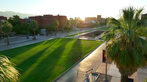 Palm-trees-on-beautiful-college-campus-of-University-of-Arizona