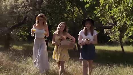 Beautiful-girls-friends-making-picnic-outdoor.-Happy-faces,-smiling.-Holding-stuff-fro-picnic-in-their-hands.-Front-view
