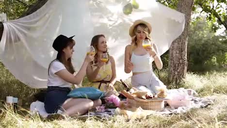 Picnic-or-hen-party-concept-outdoors.-Three-attractive-young-women-sitting,-laughing.-Cheers-with-cocktails.-Sunny-day,-green-nature
