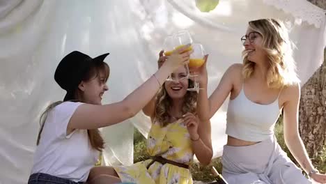 Group-of-girls-friends-making-picnic-outdoor.-They-have-fun,clinking-with-glasses-of-cocktails.-Hen-party