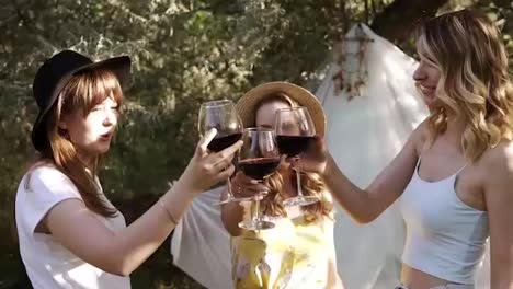 Attractive-women,-girlfriends-on-a-picnic-outdoors.-Celebrating-and-clinking-with-wine-glasses.-Drinking-alcohol.-Slow-motion