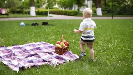 Slow-motion-of-a-blondy-boy-running-on-a-green-grass.-Takes-a-red-apple-from-picnic-basket-and-gives-it-to-his-loving-mother.-Picnic-outside.-Spring-time