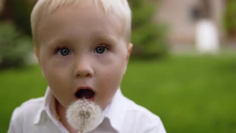 Portrait-of-a-beautiful-blonde-boy-blowing-dandelion.-Facing-to-the-camera.-Green-grass-blurred-bbackground.-Motion