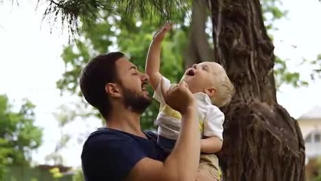 A-young-father-with-a-blue-T-shirt-and-a-beard-shows-his-curious-young-son-a-coniferous-tree-with-needles.-Holds-it-in-his-arms.-Close-up