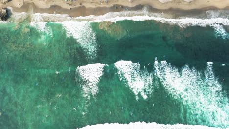 Aerial-top-down-shot-of-many-surfer-in-clear-ocean-water-training-Surfing-ion-waves-during-Sunny-day---Batu-Bolong,-Bali