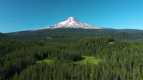 Drone-shot-over-trees,-approaching-the-snowy-mt-Hood,-summer-in-sunny-Oregon,-USA