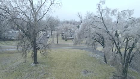 Frosty-tree-on-cold-winter-day-in-small-town,-aerial-ascend-view