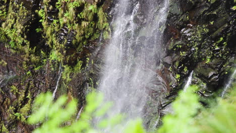 Panning-down-of-Risco-waterfall-in-a-magnificent-vegetation