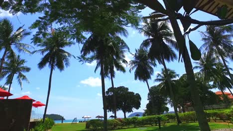 Fabuloso-Resort-De-Lujo-Con-Cocoteros-Y-Rayos-De-Sol-En-Langkawi-Malasia